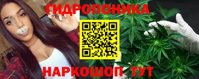 ГАЛЛЮЦИНОГЕННЫЕ ГРИБЫ Нальчик