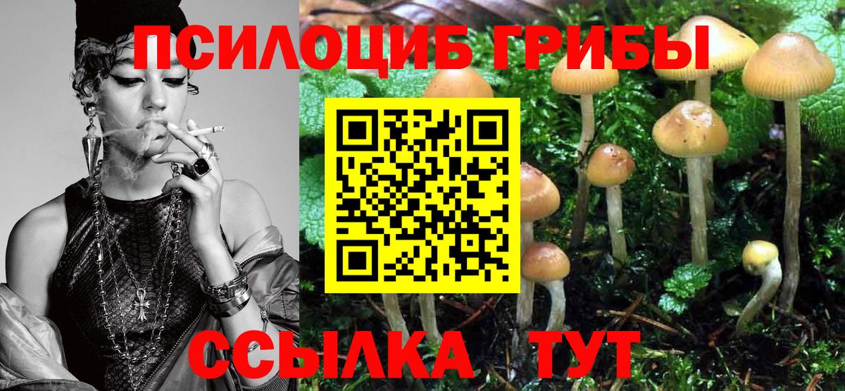 Галлюциногенные грибы Psilocybe Старая Купавна