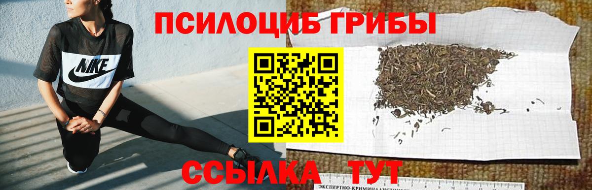 где купить наркотик  Вход с VPN  Псилоцибиновые грибы GOLDEN TEACHER  Старая Купавна  Псилоцибиновые грибы Psilocybine cubensis 